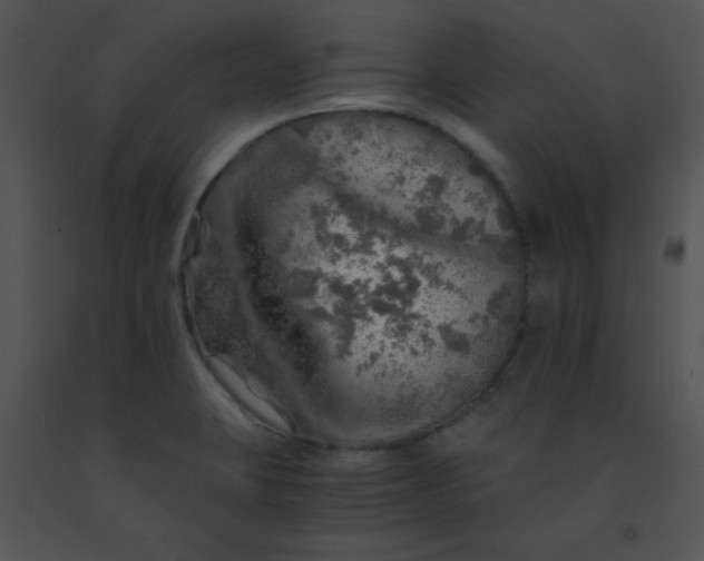 X0000091361423200708311455