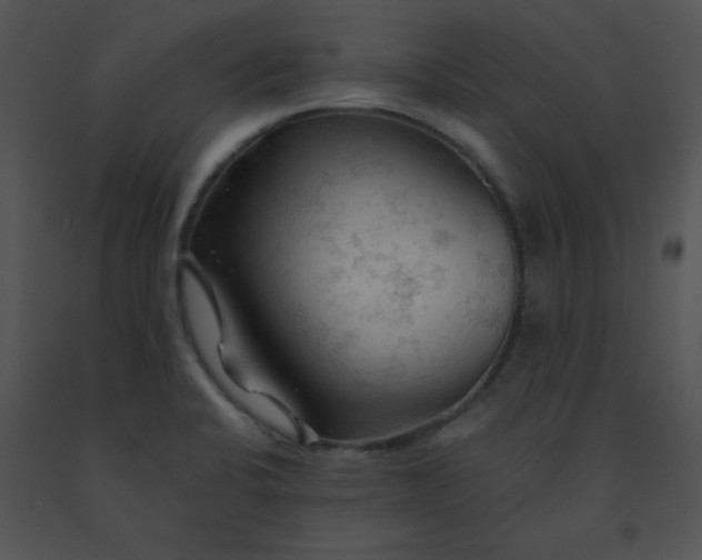 X0000091361424200708311455