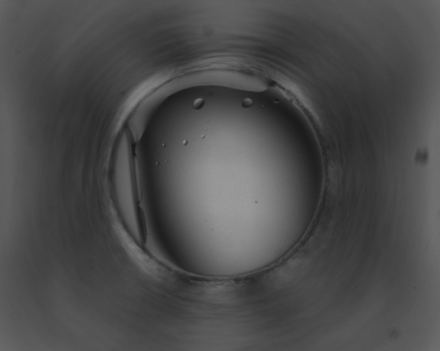 X0000091361426200708311455