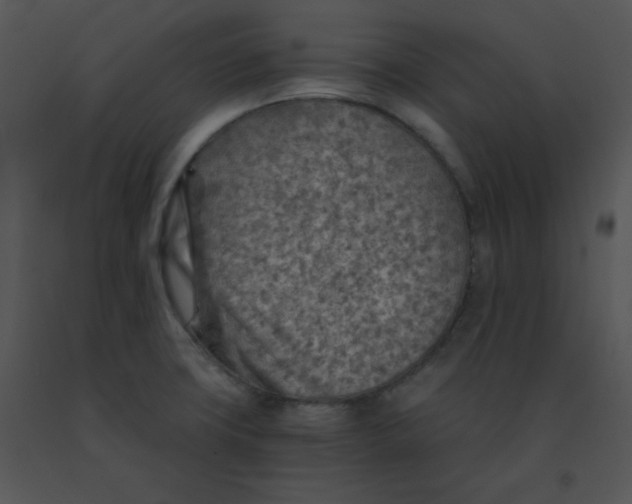 X0000091361427200708311455