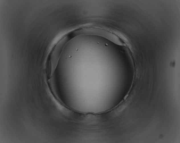 X0000091361430200708311455