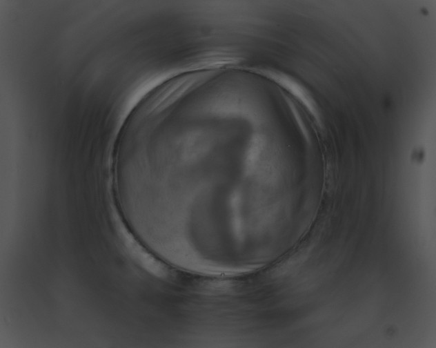 X0000091361431200708311455
