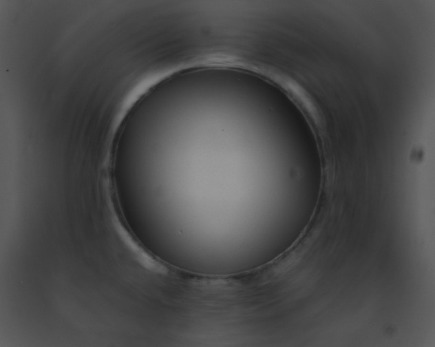 X0000091361432200708311455