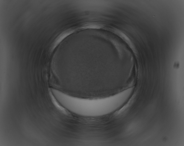 X0000091361433200708311455