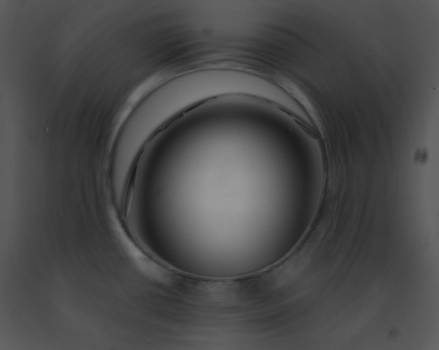 X0000091361434200708311455