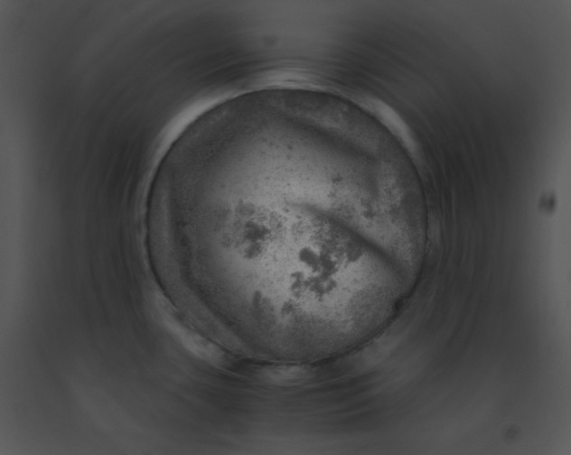 X0000091361435200708311455