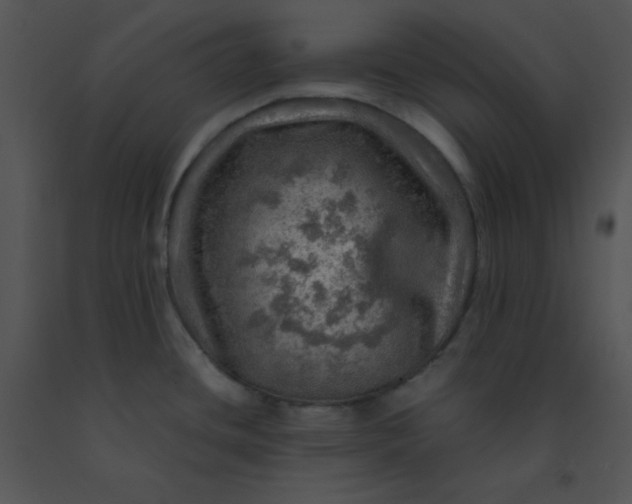 X0000091361436200708311456