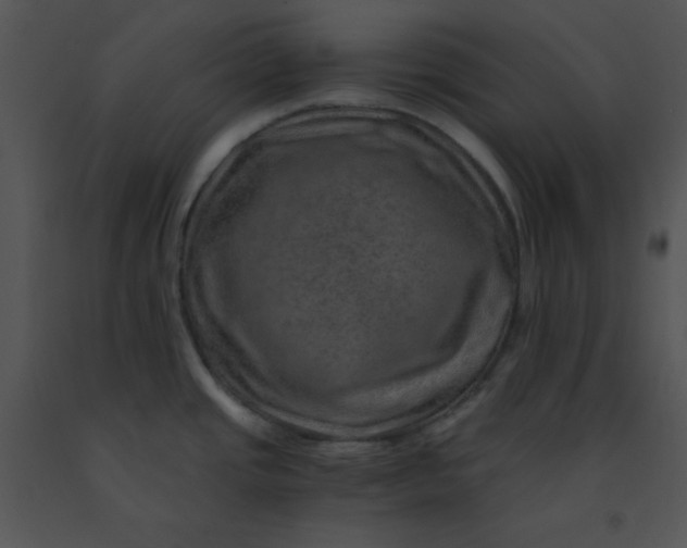 X0000091361437200708311456