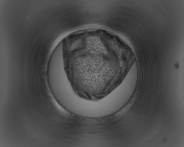 X0000091361438200708311456