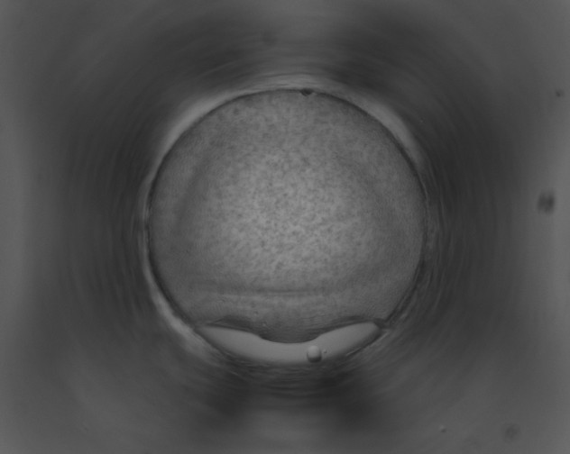 X0000091361439200708311456