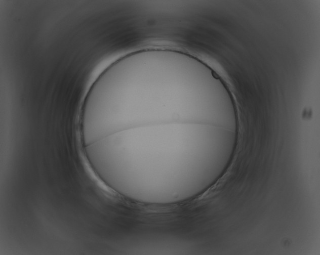 X0000091361440200708311456