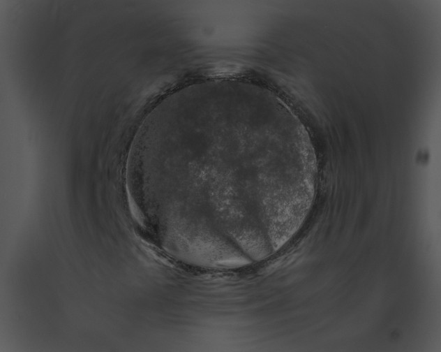 X0000091361441200708311455