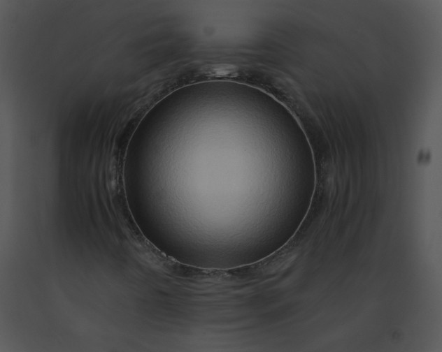 X0000091361442200708311455