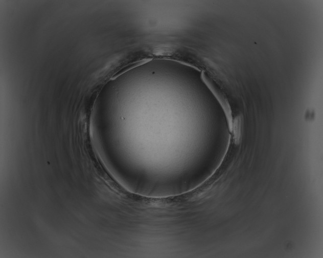 X0000091361443200708311455