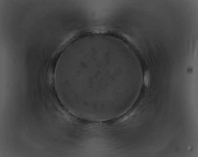 X0000091361444200708311455
