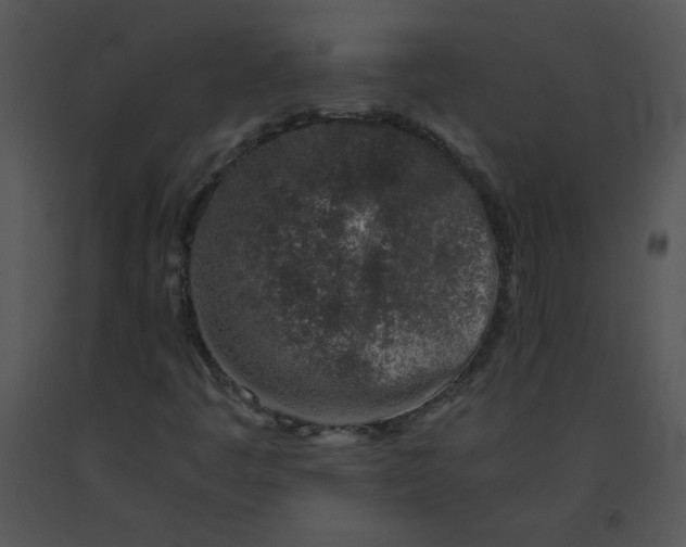 X0000091361445200708311455