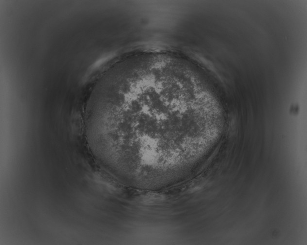 X0000091361446200708311455