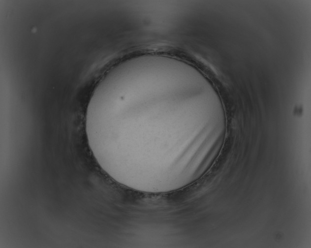 X0000091361447200708311455