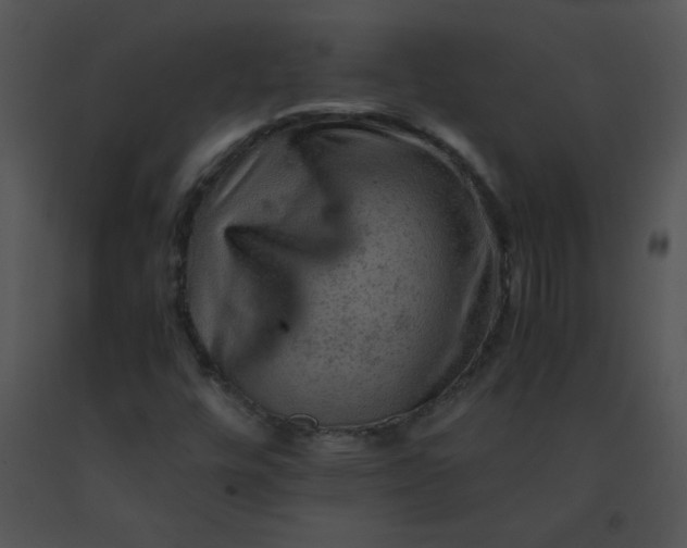 X0000091361448200708311455