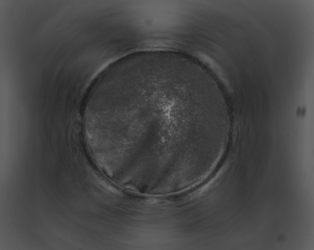 X0000091361449200708311455