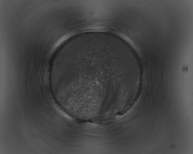 X0000091361450200708311455