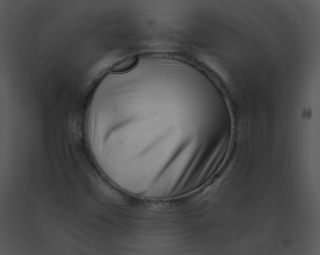 X0000091361451200708311455