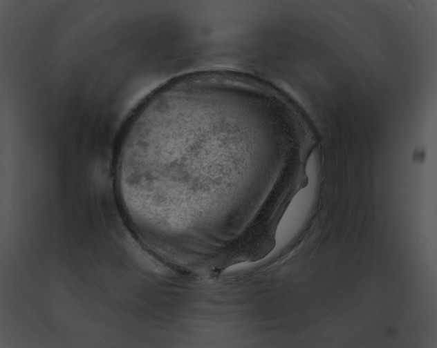 X0000091361452200708311455