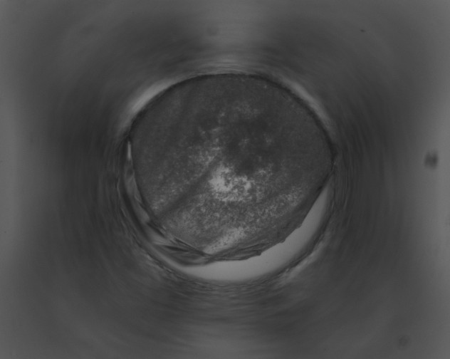 X0000091361453200708311455
