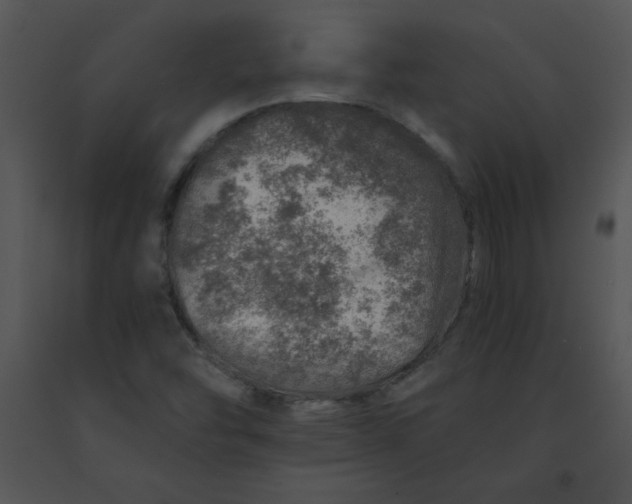 X0000091361454200708311455