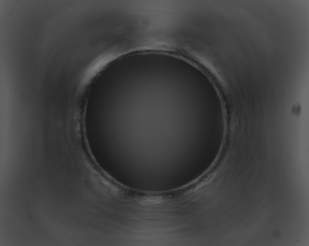 X0000091361455200708311455