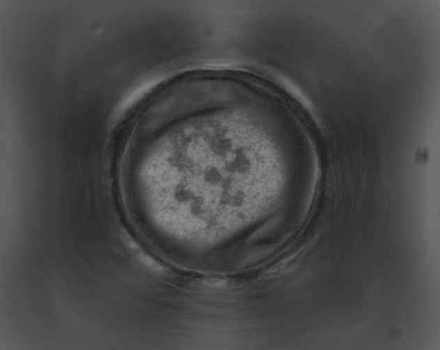 X0000091361456200708311455