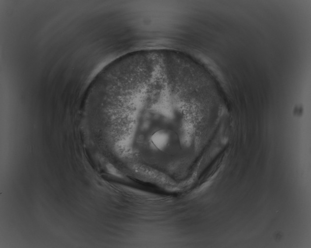 X0000091361457200708311455