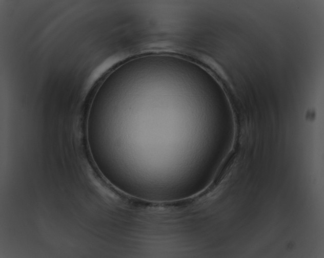 X0000091361458200708311455