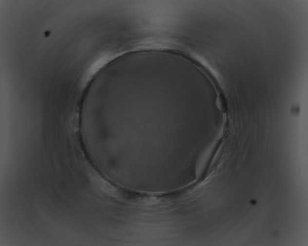 X0000091361459200708311455