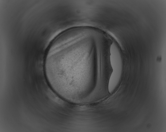 X0000091361460200708311455