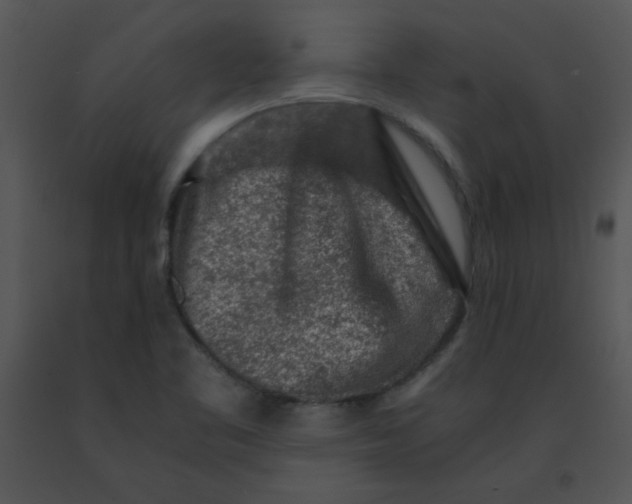 X0000091361461200708311455