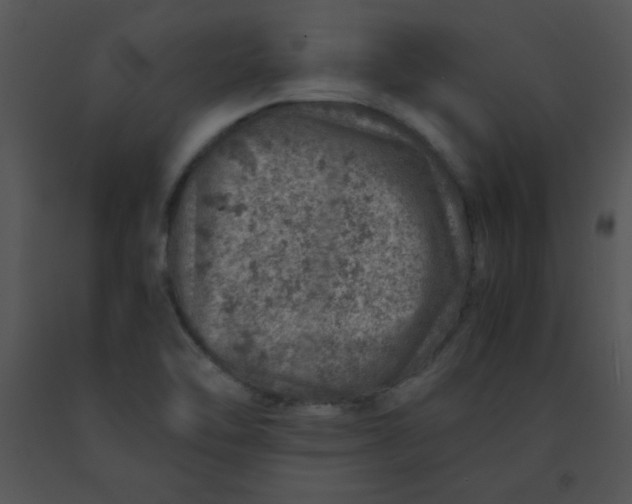X0000091361462200708311455