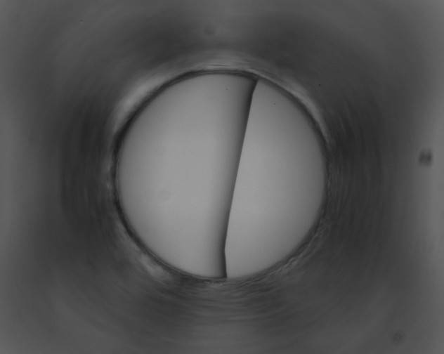 X0000091361464200708311455