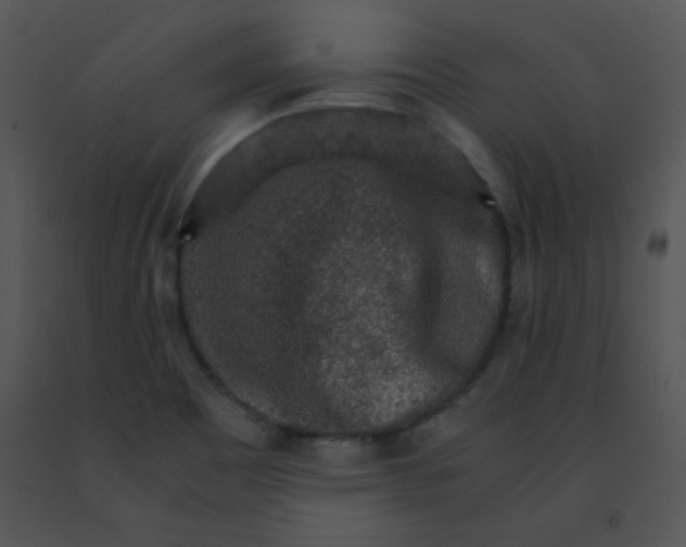 X0000091361465200708311455