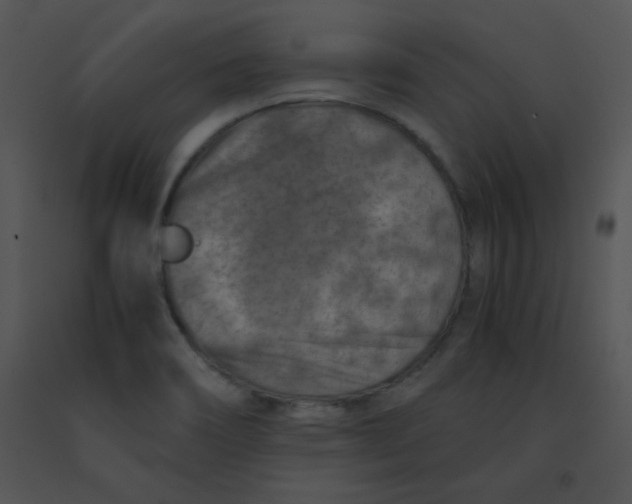 X0000091361466200708311455