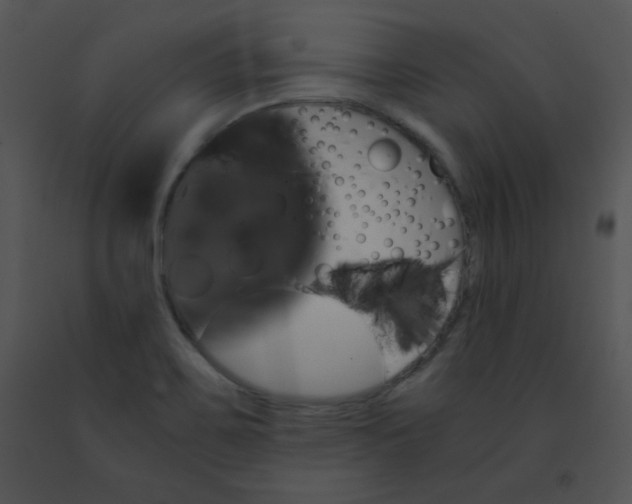 X0000091361467200708311455