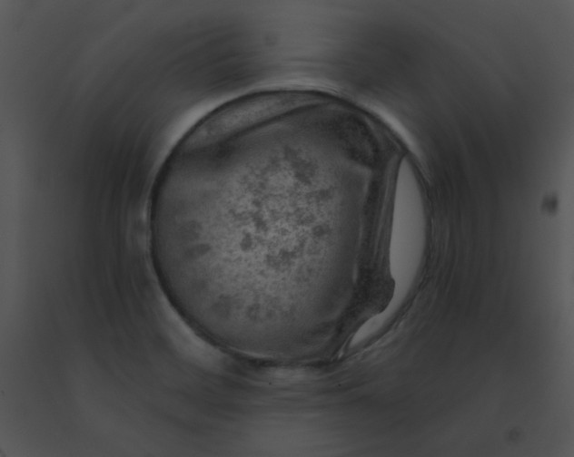 X0000091361468200708311455