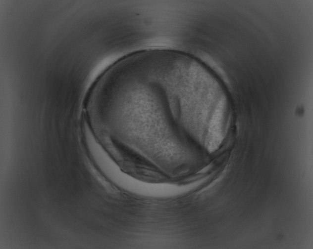 X0000091361469200708311455