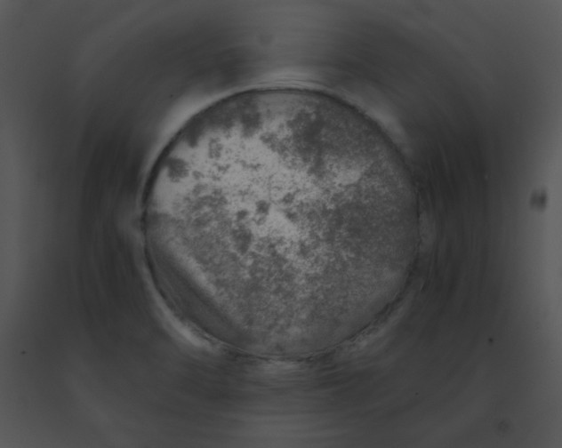 X0000091361470200708311455