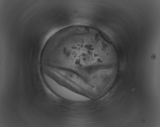X0000091361471200708311455