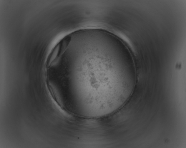 X0000091361472200708311455