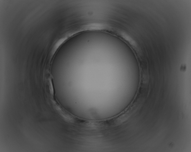 X0000091361473200708311455