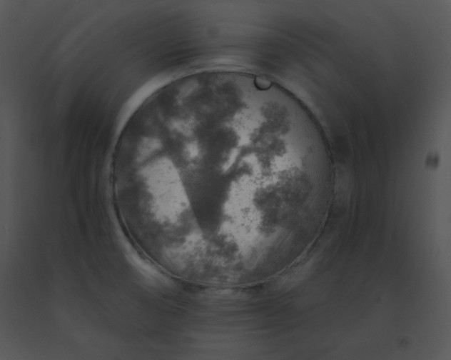 X0000091361474200708311455