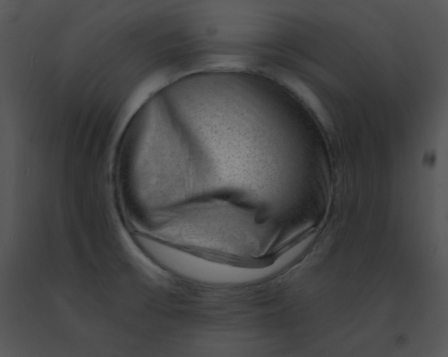 X0000091361475200708311455