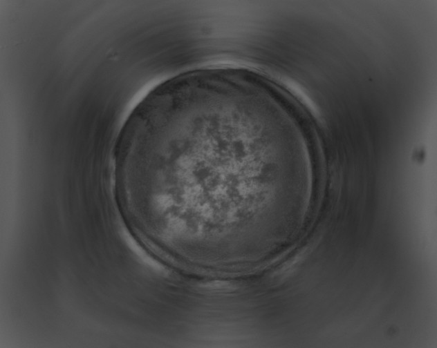 X0000091361476200708311455